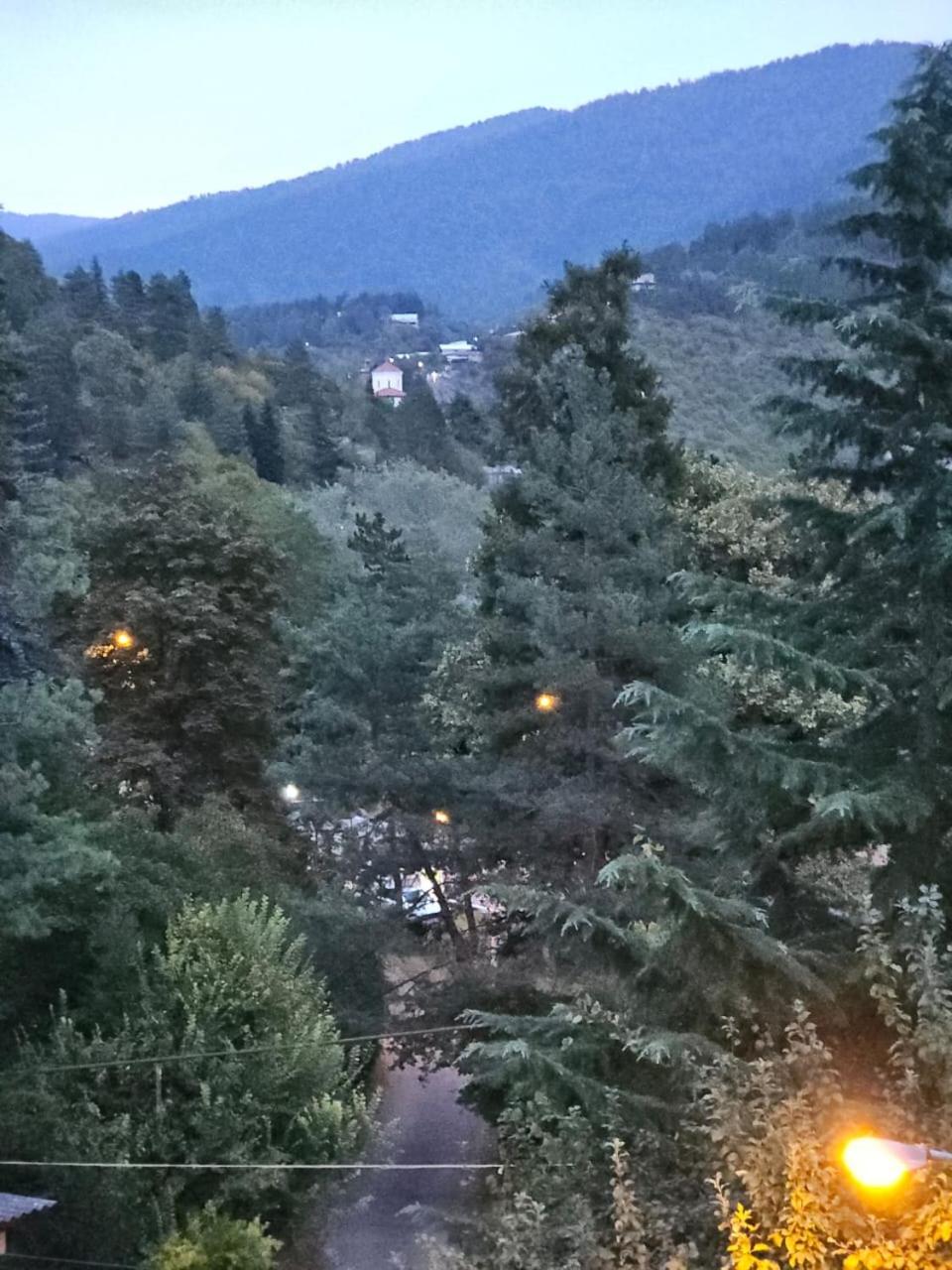 Guest House Likani 2017 Borjomi Rum bild