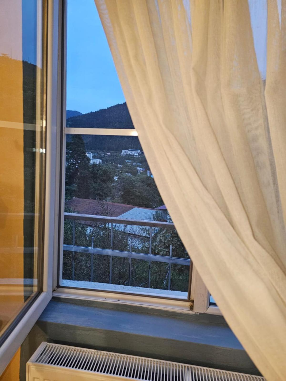 Guest House Likani 2017 Borjomi Rum bild
