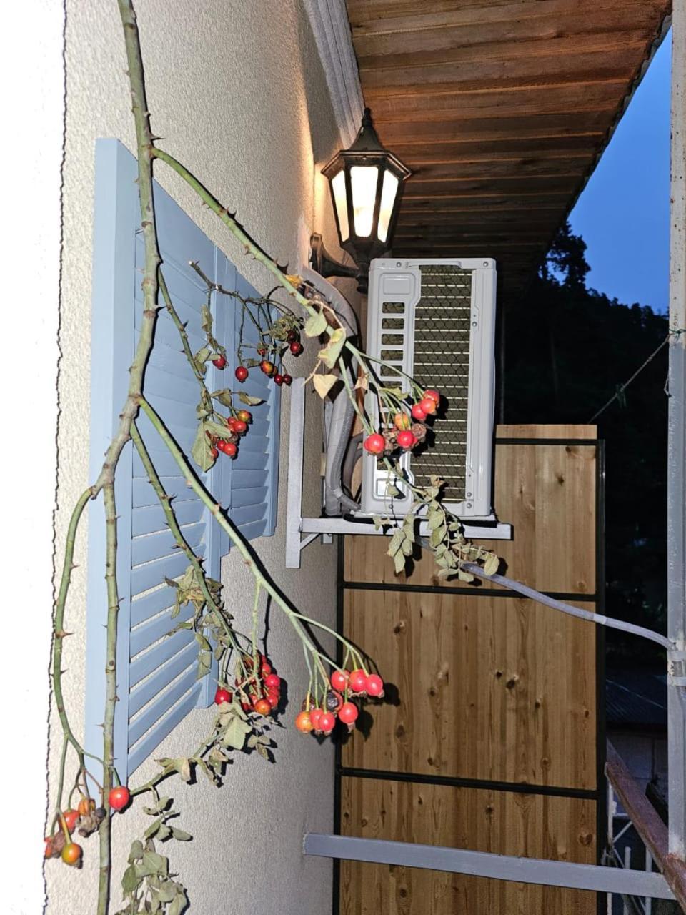 Guest House Likani 2017 Borjomi Rum bild