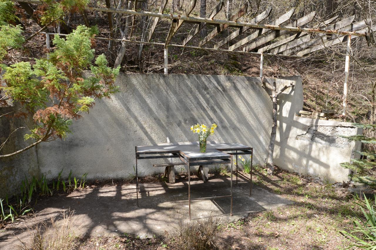 Guest House Likani 2017 Borjomi Exteriör bild