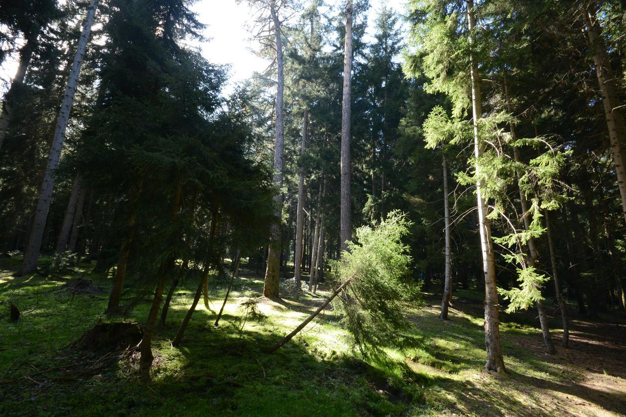 Guest House Likani 2017 Borjomi Exteriör bild