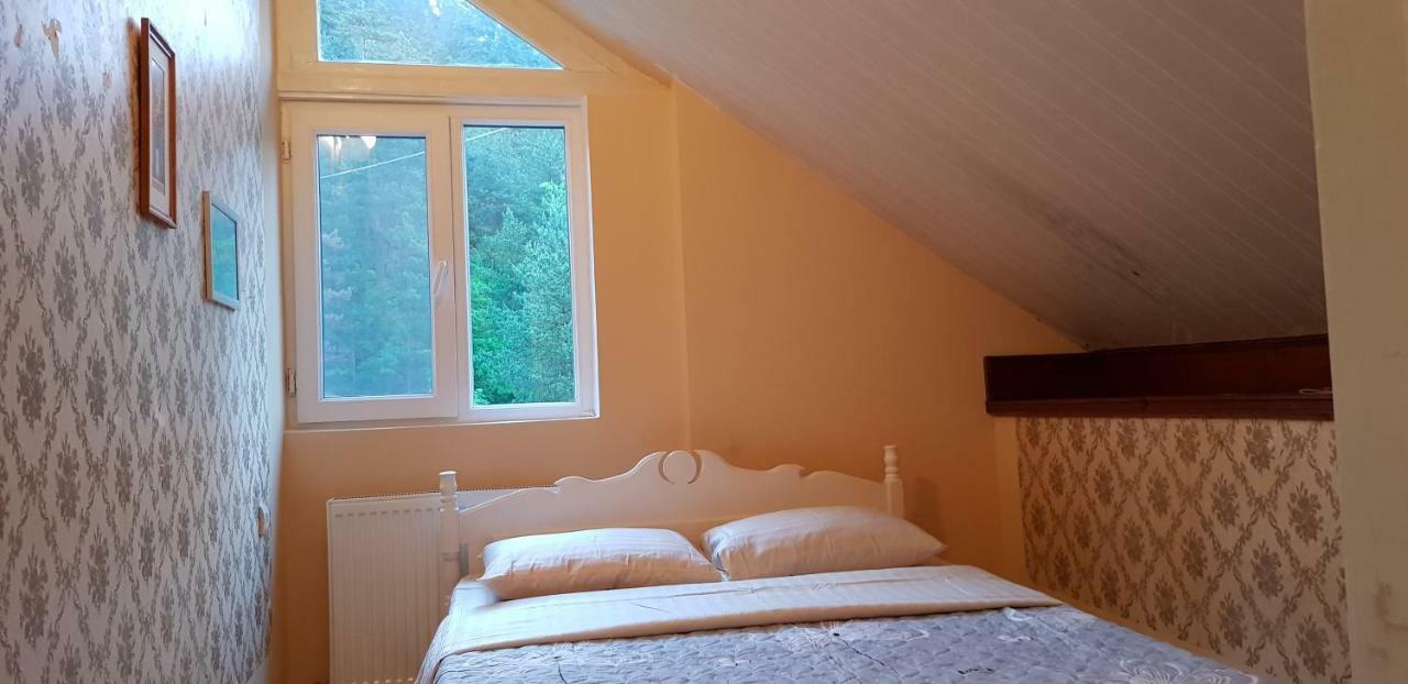Guest House Likani 2017 Borjomi Exteriör bild