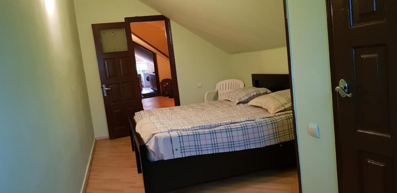 Guest House Likani 2017 Borjomi Exteriör bild